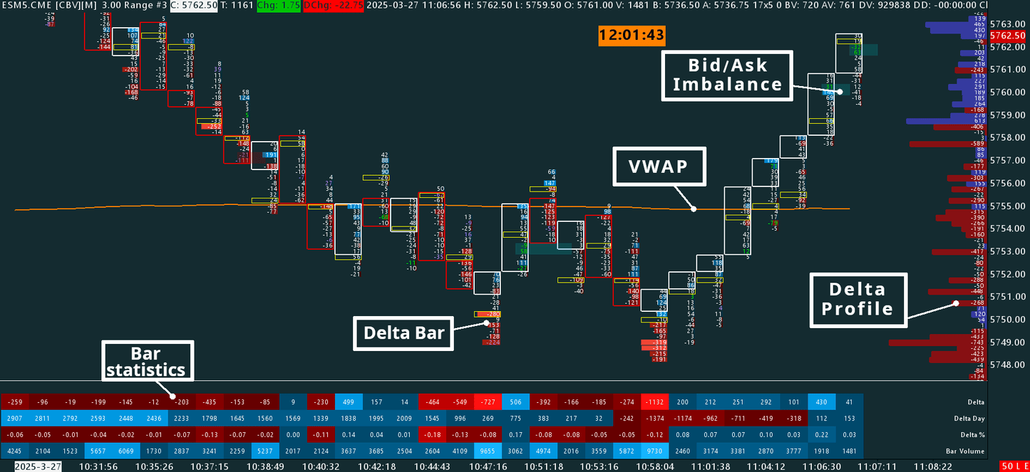 Delta Footprint, S&P 500, 12 ticks range bars