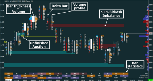 Delta Footprint, Natural Gas, 10 ticks range bars