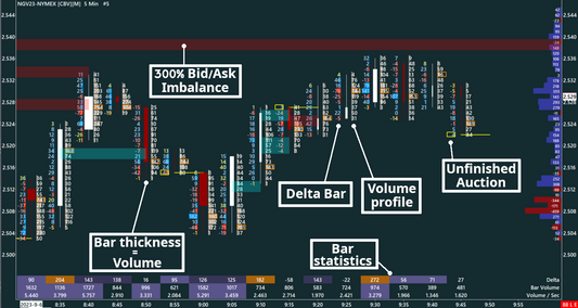 Delta Footprint, Natural Gas, 5 minutes