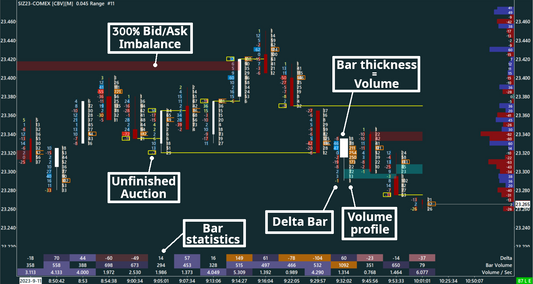 Delta Footprint, Silver, 10 ticks range bars